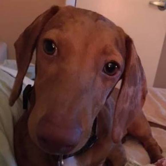 Meet your Posher Florida Finds! - Picture 1 of 1